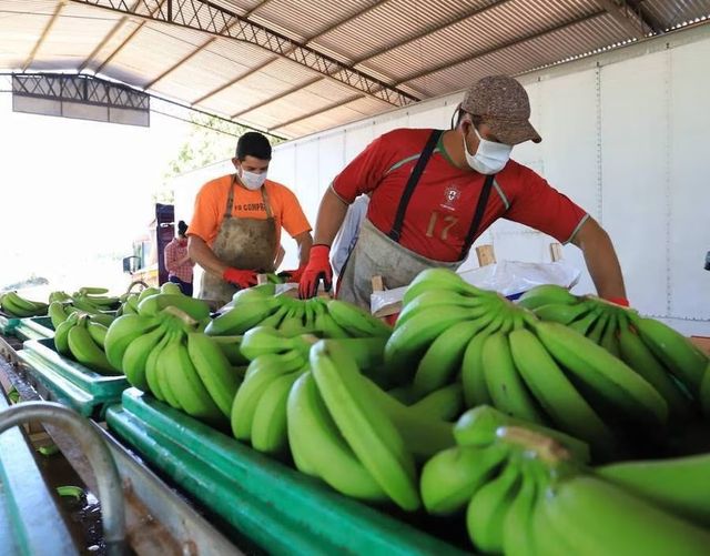 Puede ser una imagen de 3 personas y fruta